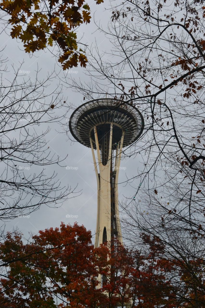 Seattle Space Needle