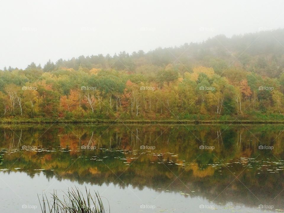 Maine