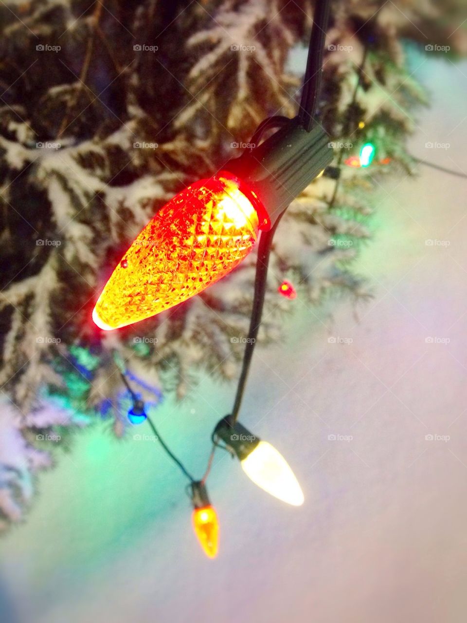 Christmas Tree Lights