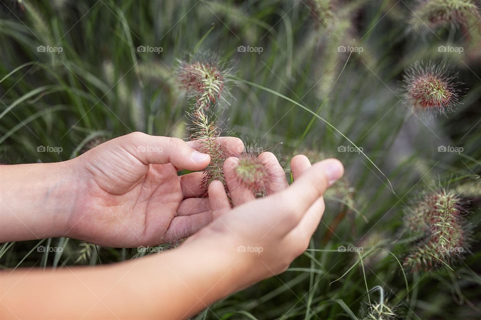 grass in hand