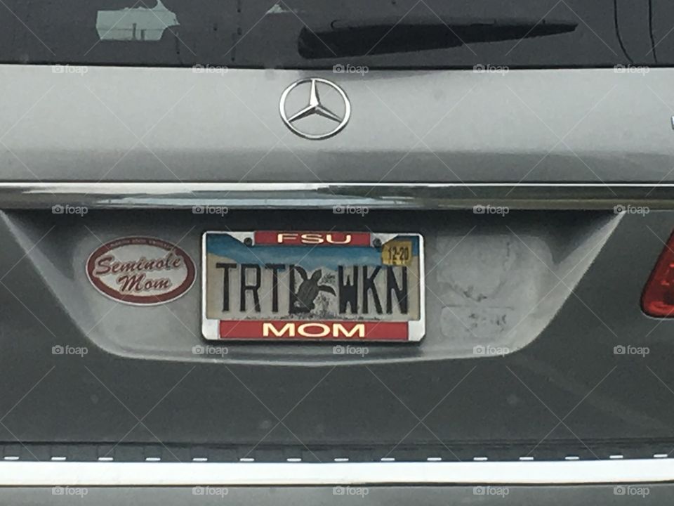 Unique Florida license plate collection TRTL WKN