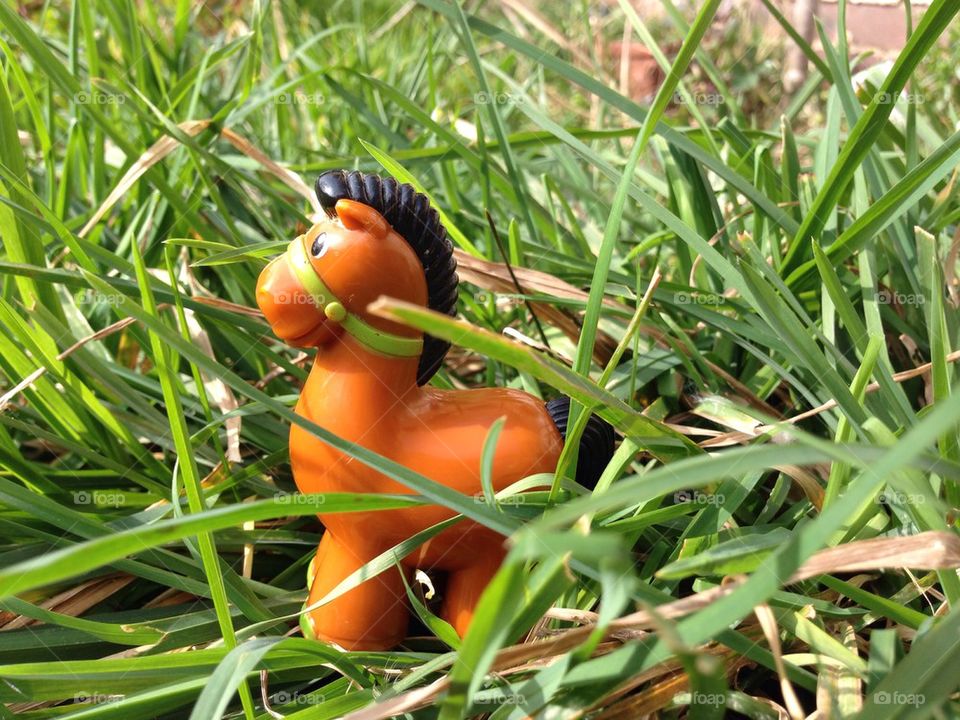Toy horse in the meadow 