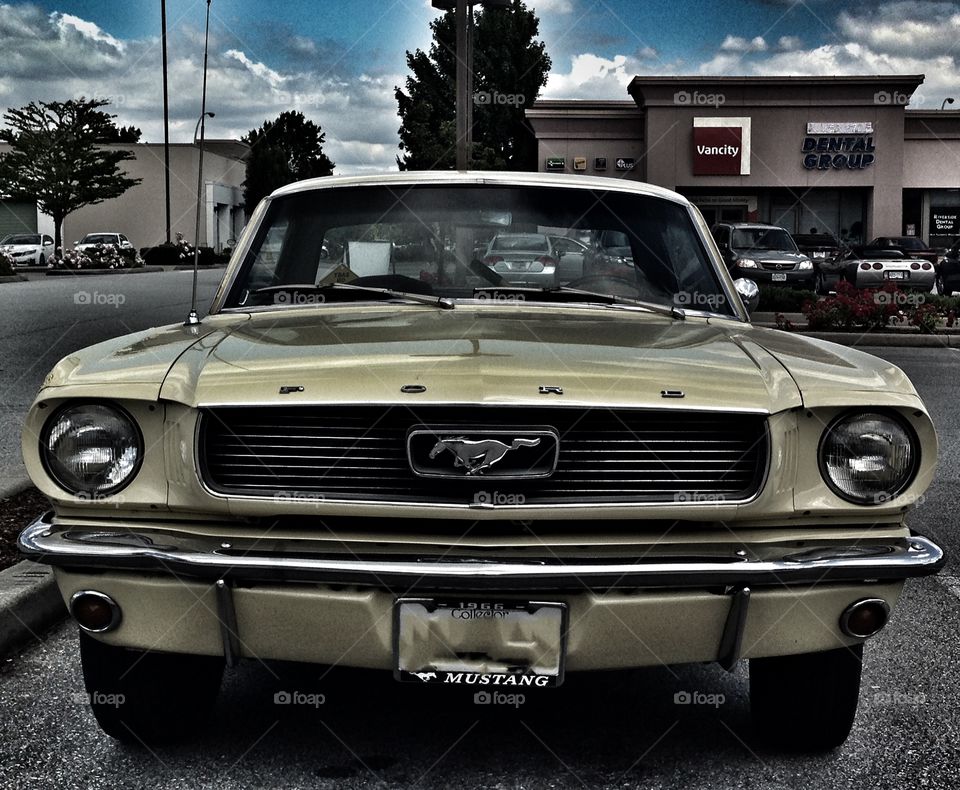 1966 Canary Yellow Ford Mustang. 1966 Canary Yellow Ford Mustang, front view