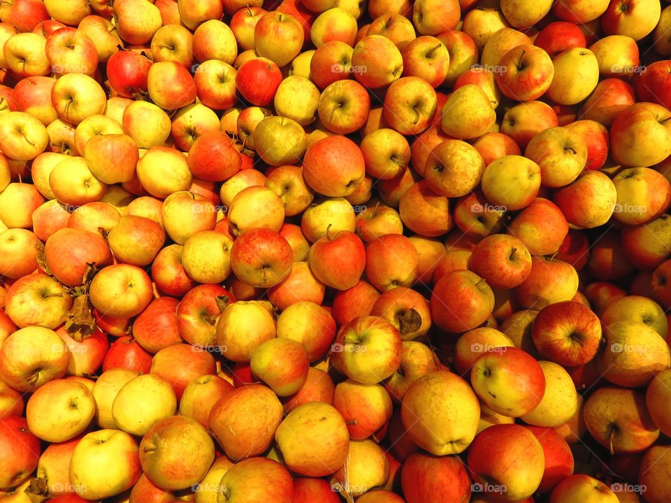 Large quantity of apples