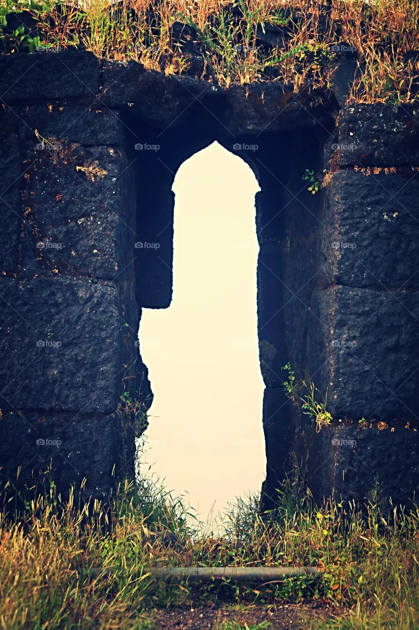 Window