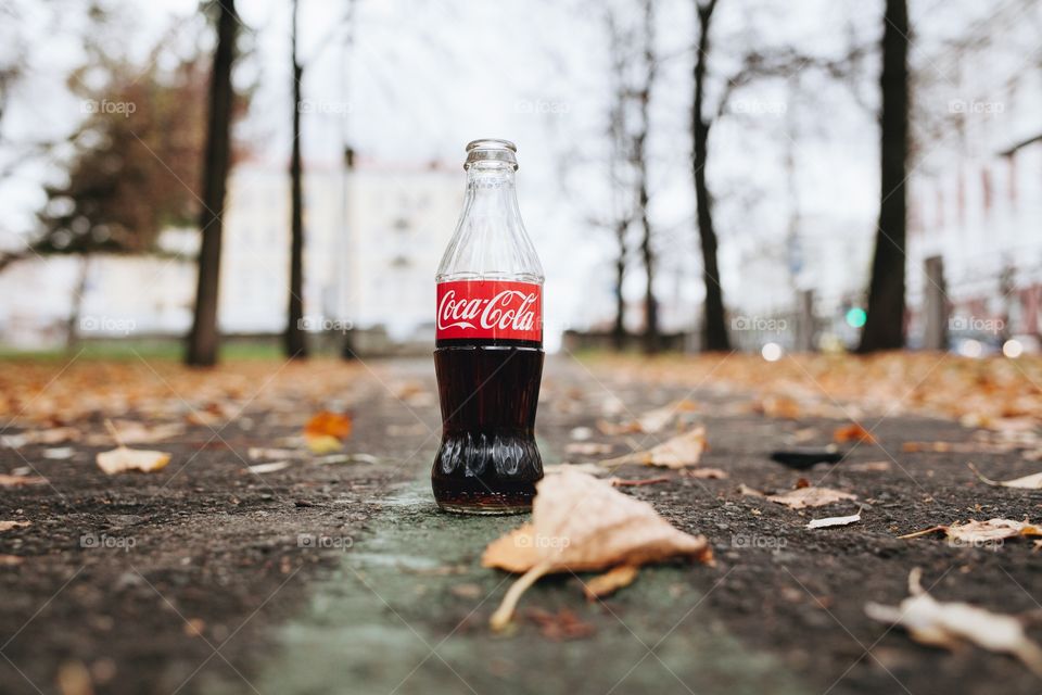 Cola in autumn 