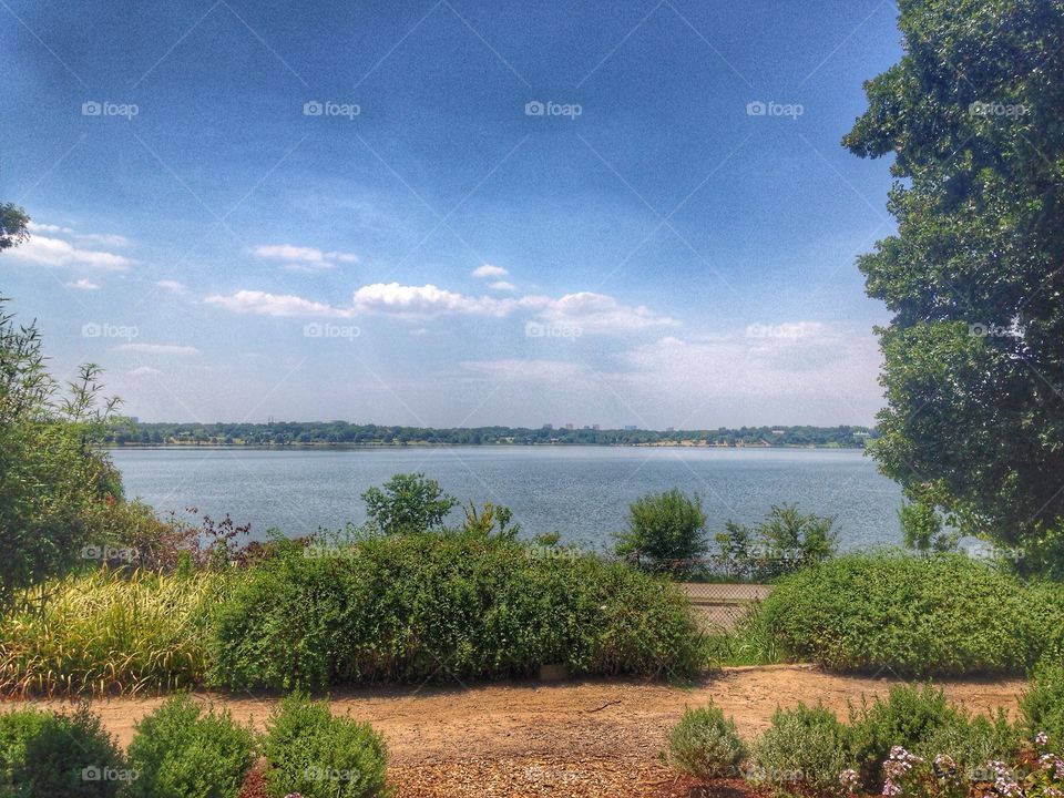 Lakeside. View of a lake