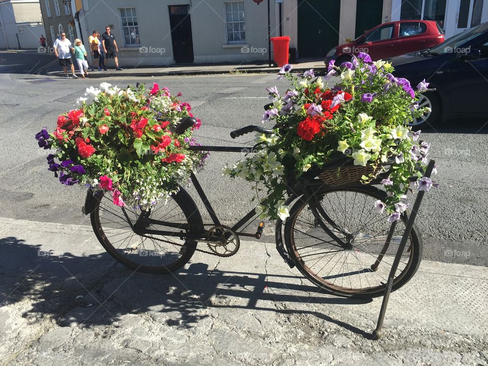 Bike full o flowers