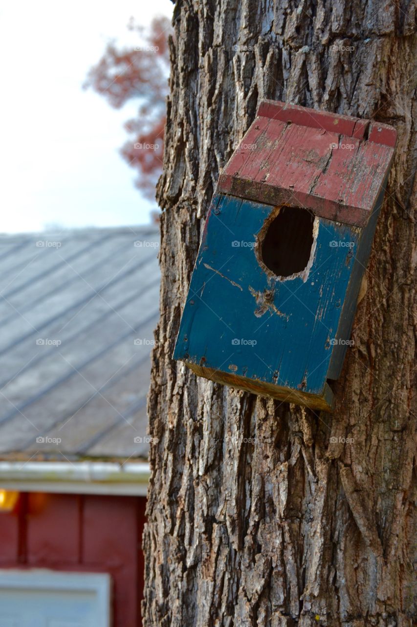 Blue birdhouse on the farm. 