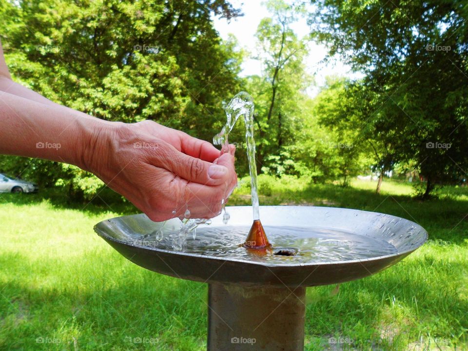 female hands are placed under running water from a drinking fountain