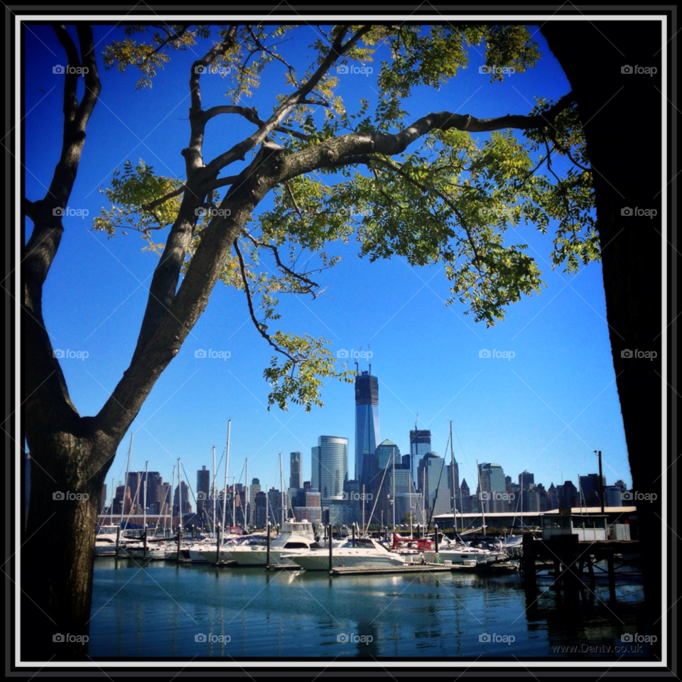 tree boats water freedom by dantvusa