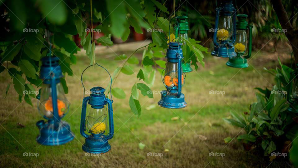 Hanging Lamps