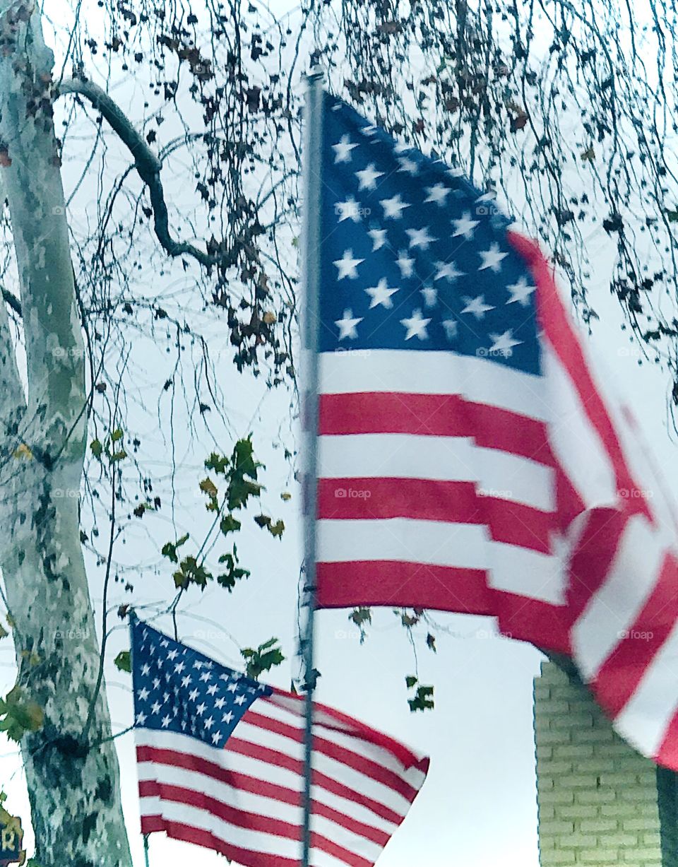 American flags blowing in the wind on a winters day in the city. USA, America 