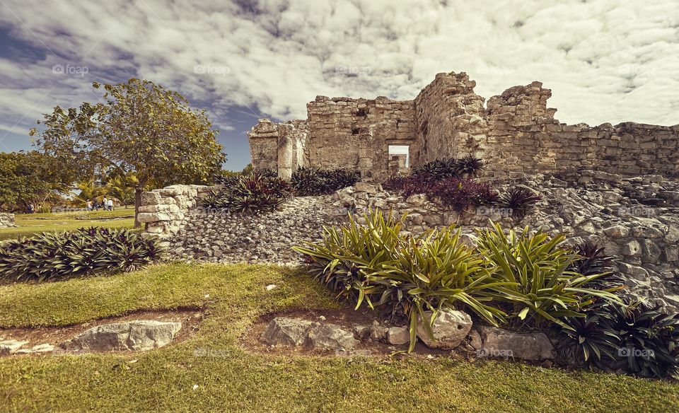 Ruins of Mayan building immersed in a green meadow: View of some parts of the Maya complex at Tulum in Mexico