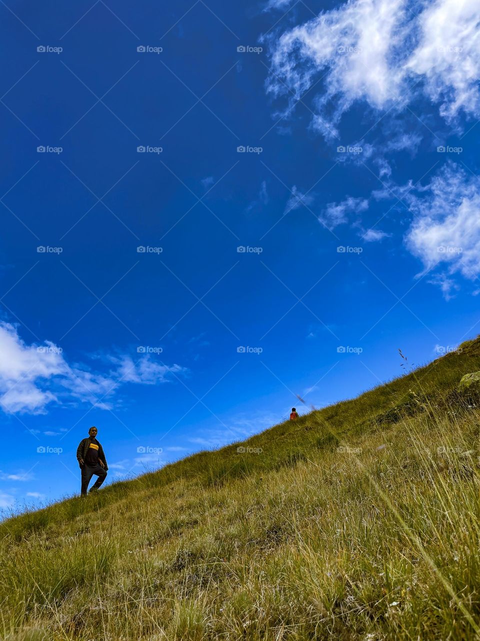 The healing Himalaya 