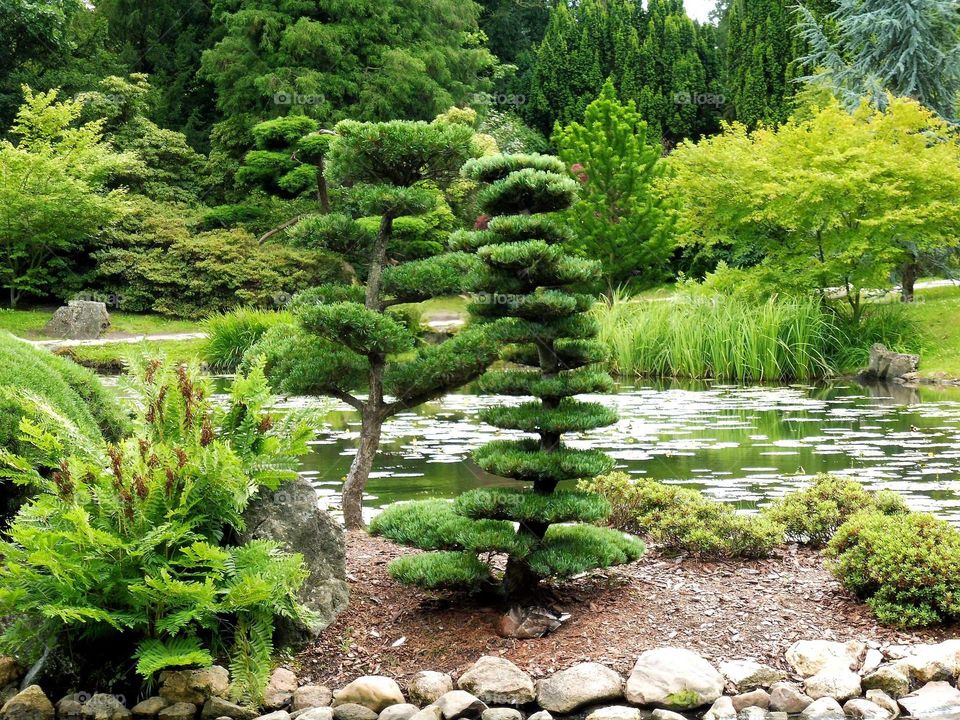 Japanese garden in Wroclaw city