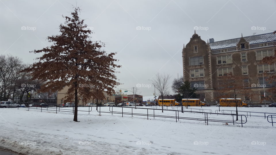 Winter snowstorm