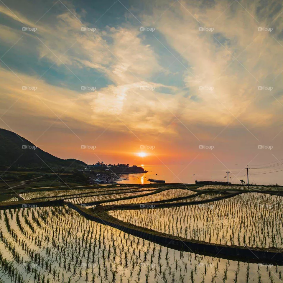 sun