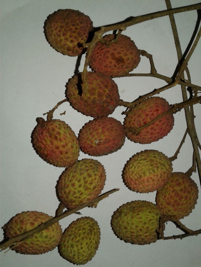 Lichi
