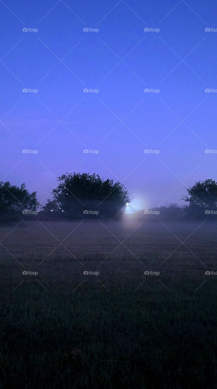 Foggy south Texas morning.