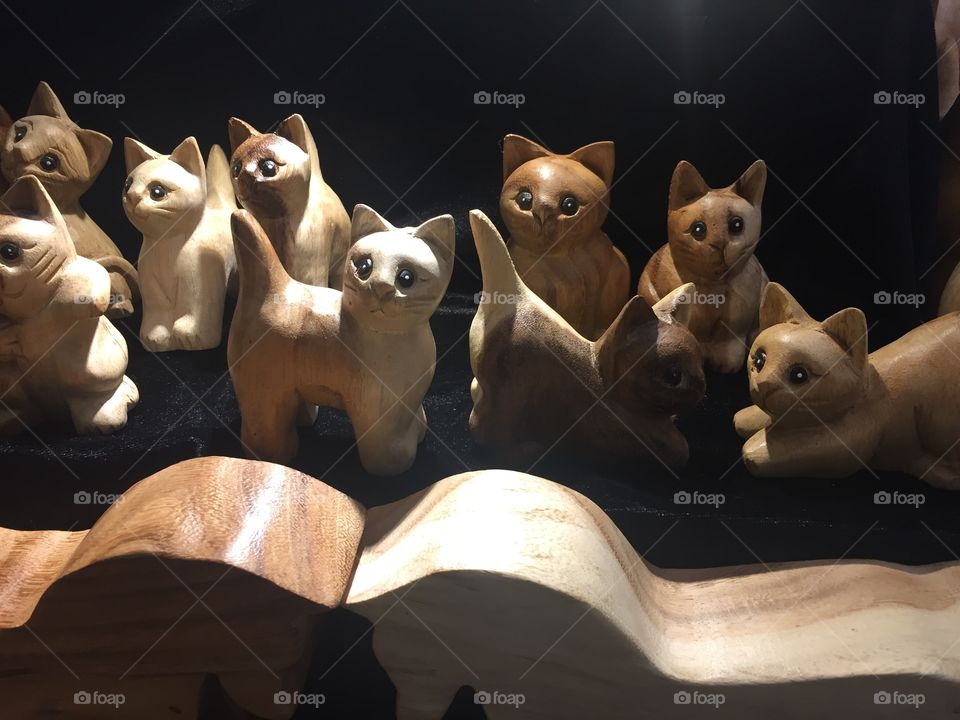 Wooden kitty displays 😻