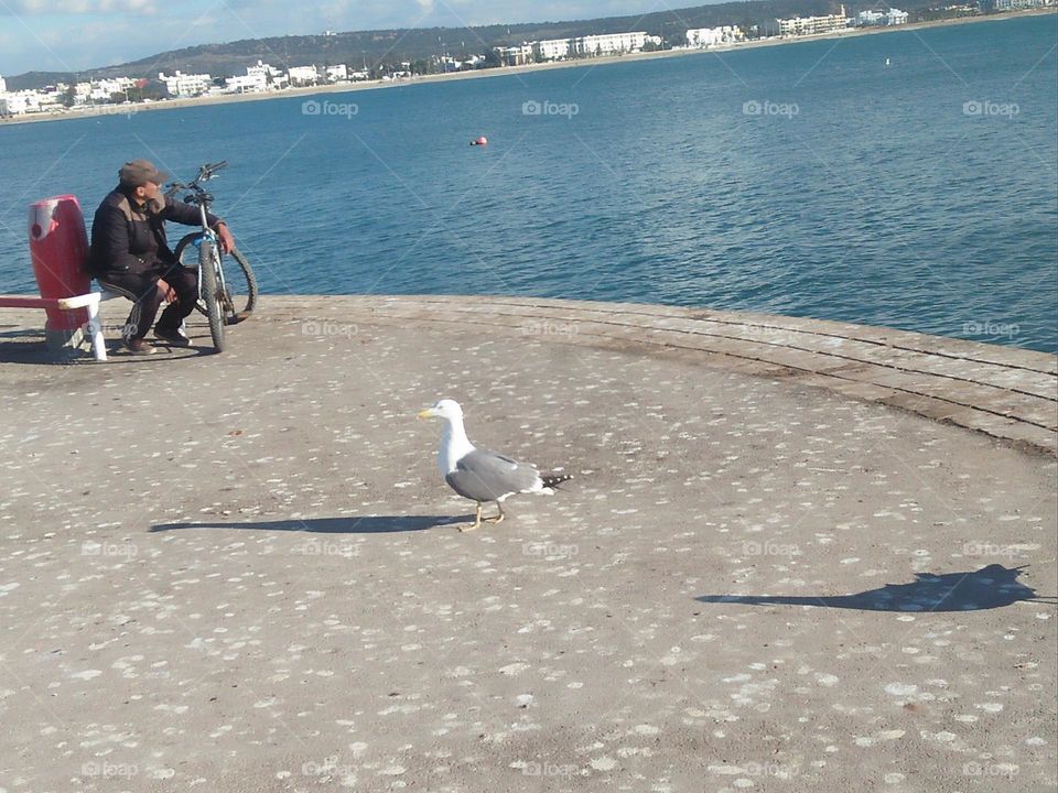 The man looking at the sea