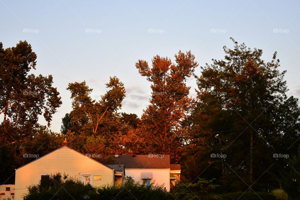 Autumn landscape scene 