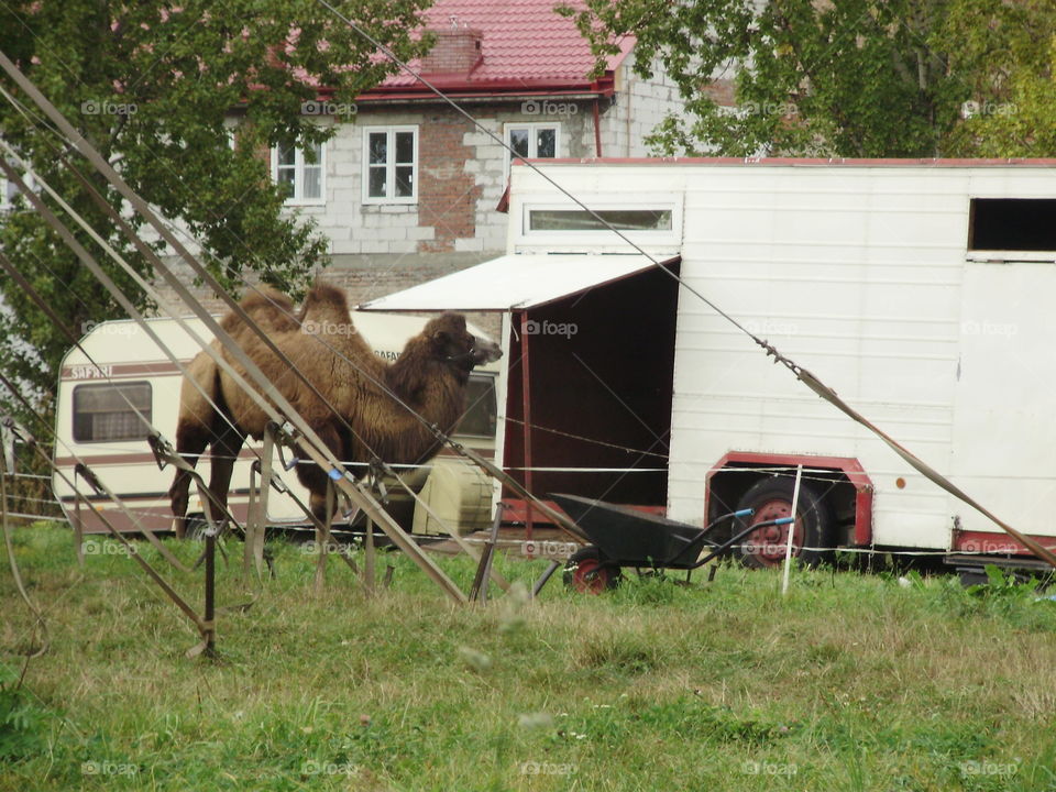 Circus Arena in Lublin