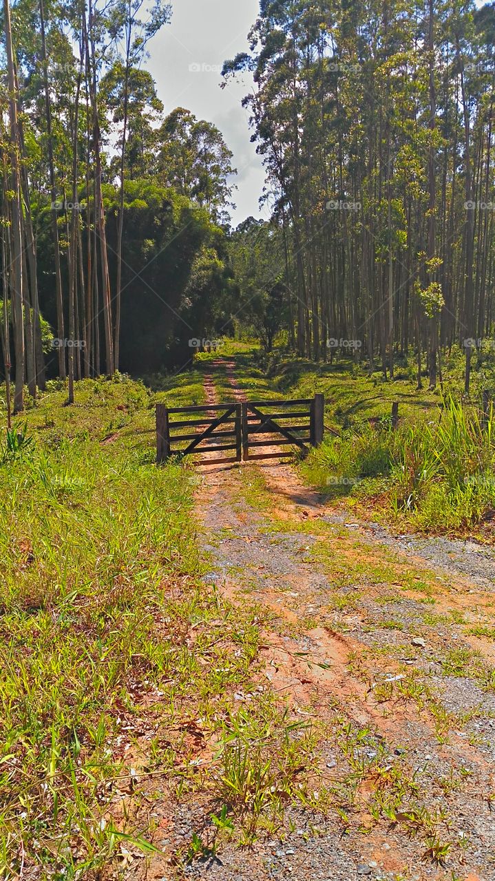 portão de fazenda