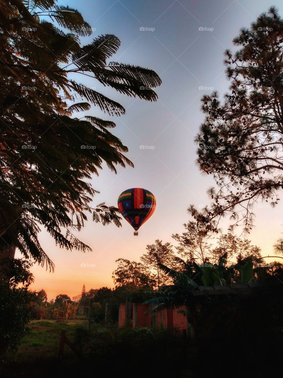 Hot air balloon flying over the trees
