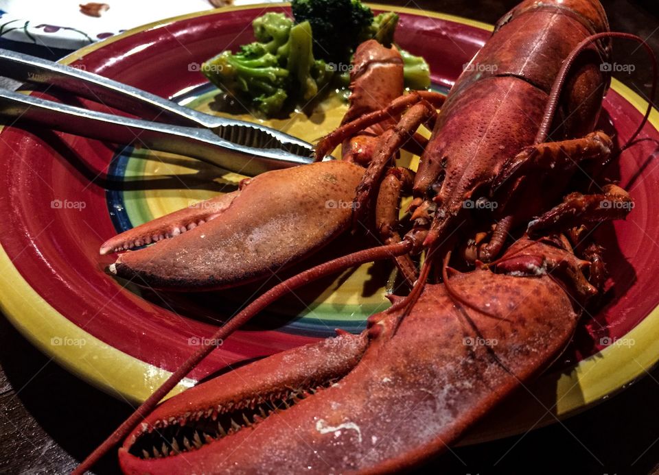 Lobster dinner
