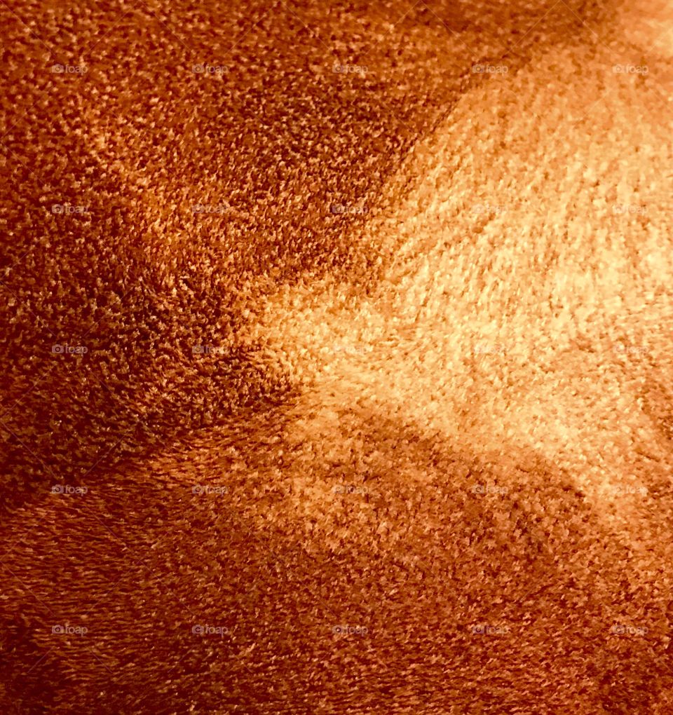 Cow Hide Close-Up