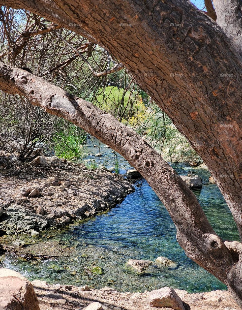 A Desert Stream in Autumn