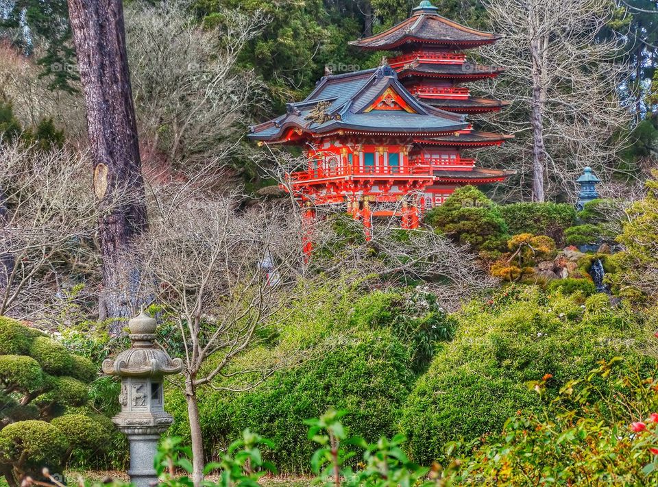 Japanese Shinto Shrine
