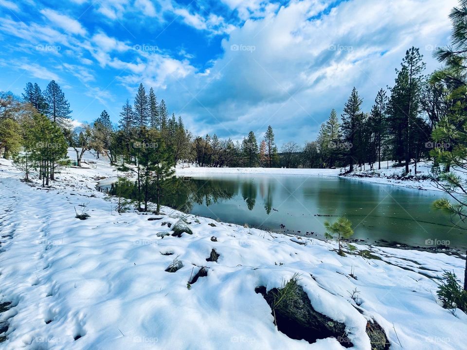 Winter lake