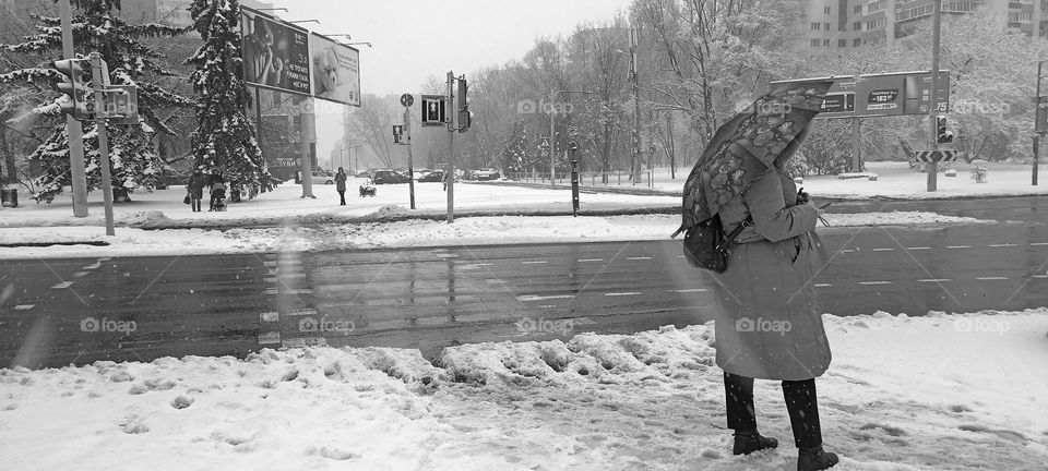 street view snowy march weather