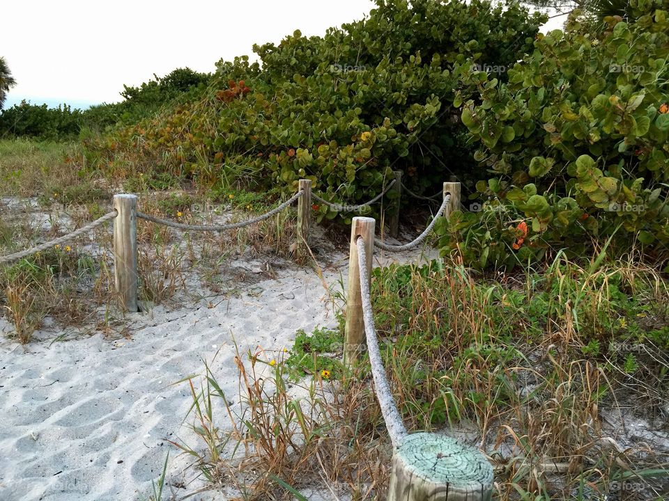 Beach trail