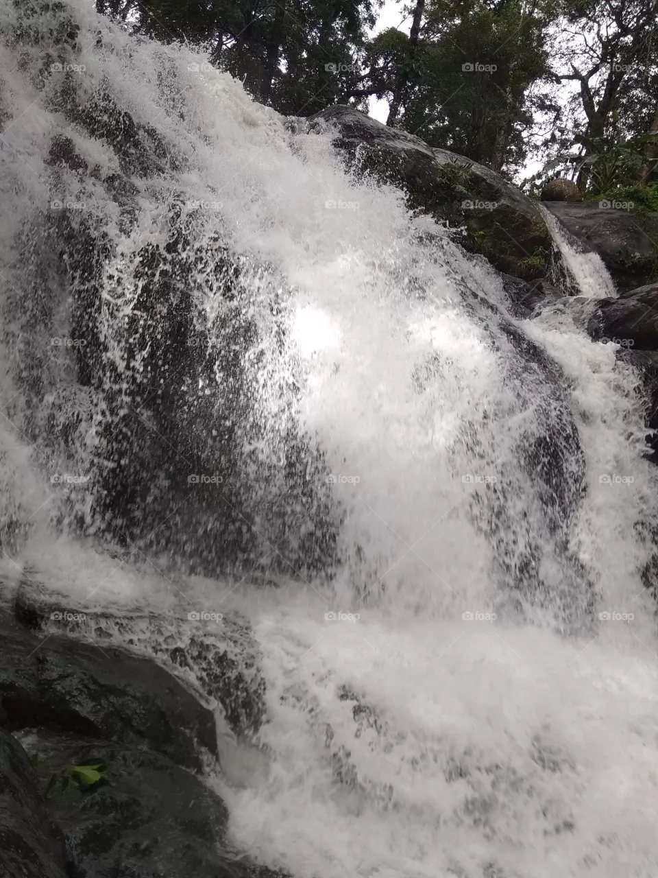 water