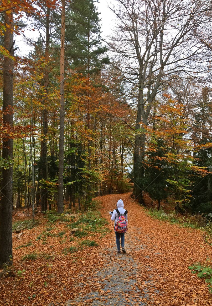 Autumn walk