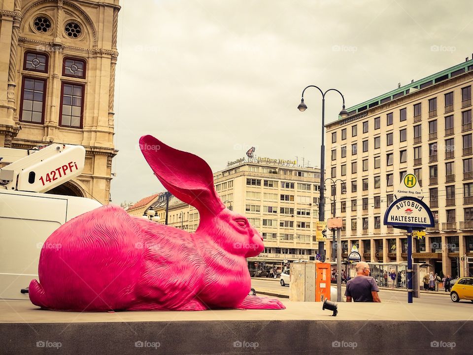 Crazy large pink urban rabbit