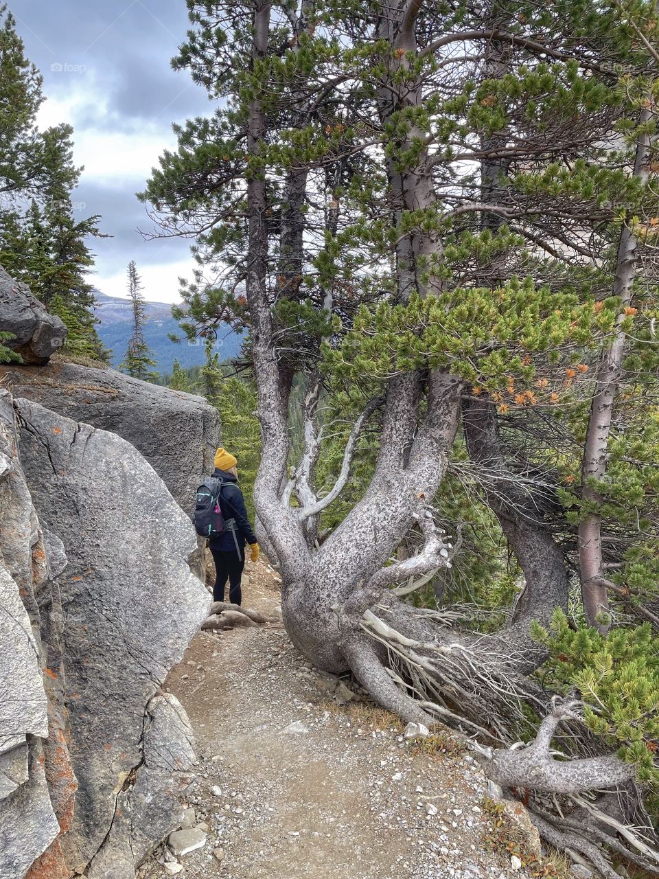 Hiking trail