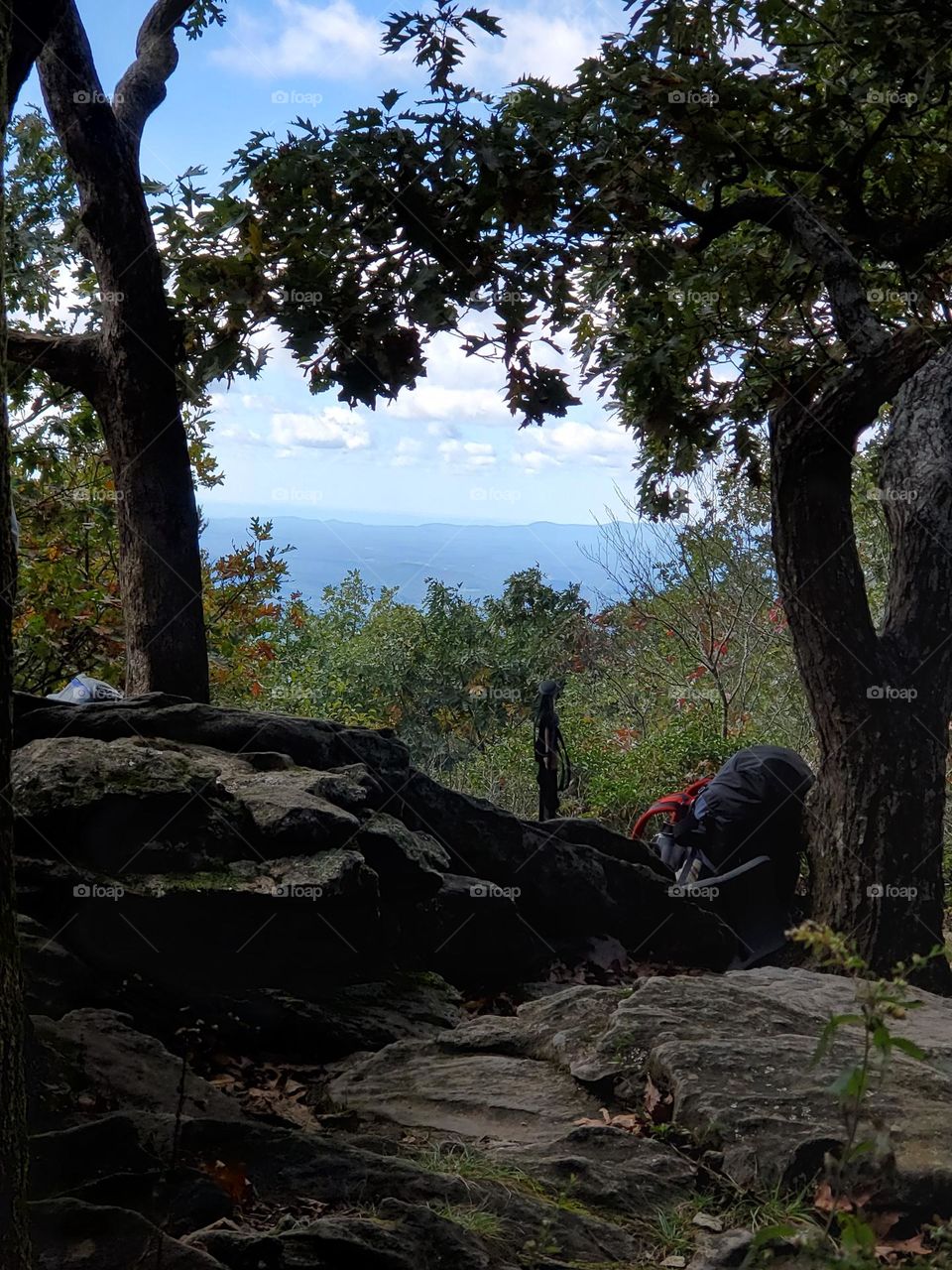 high up in the heavens