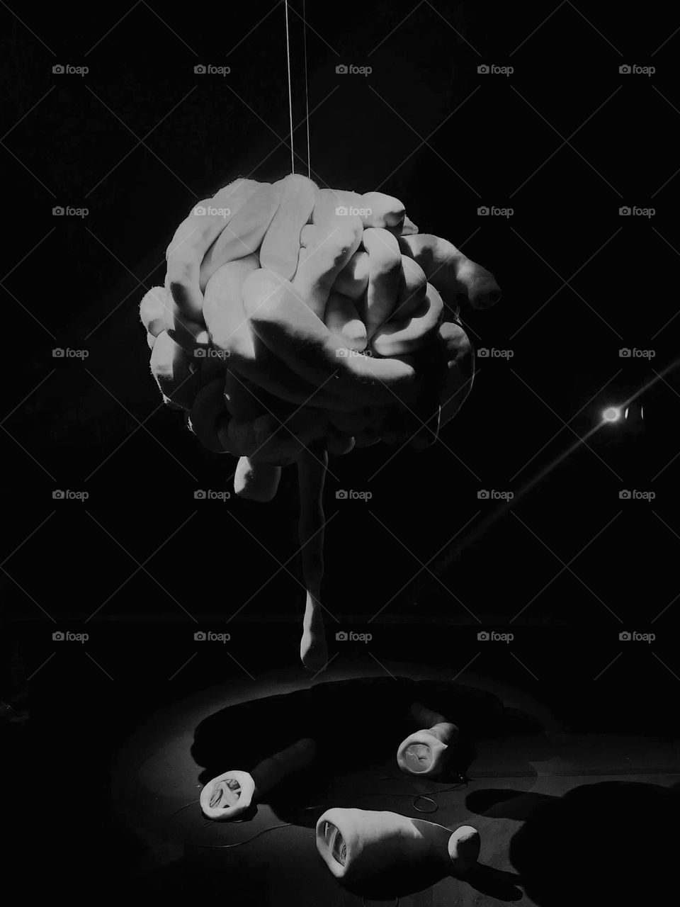 A human exposition at the museum 