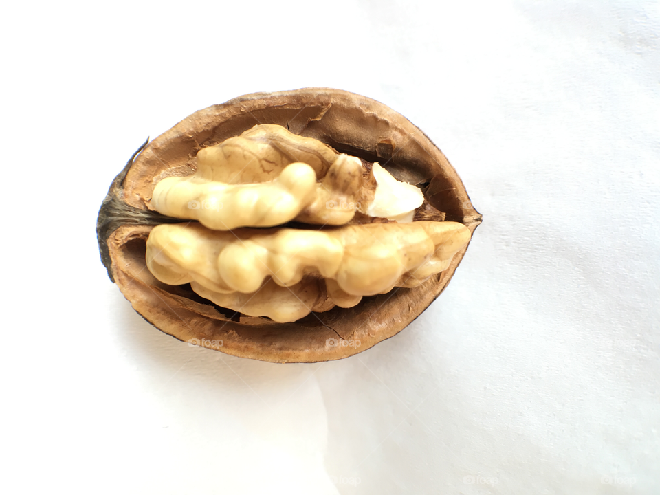 Walnut on white background