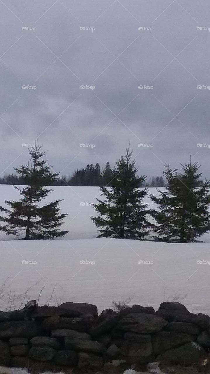 The snow is slowly melting