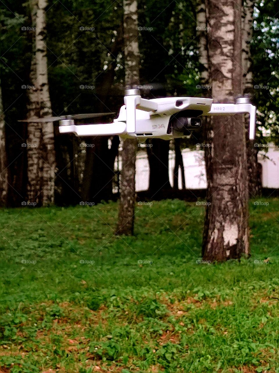white flying drone on a background of birches