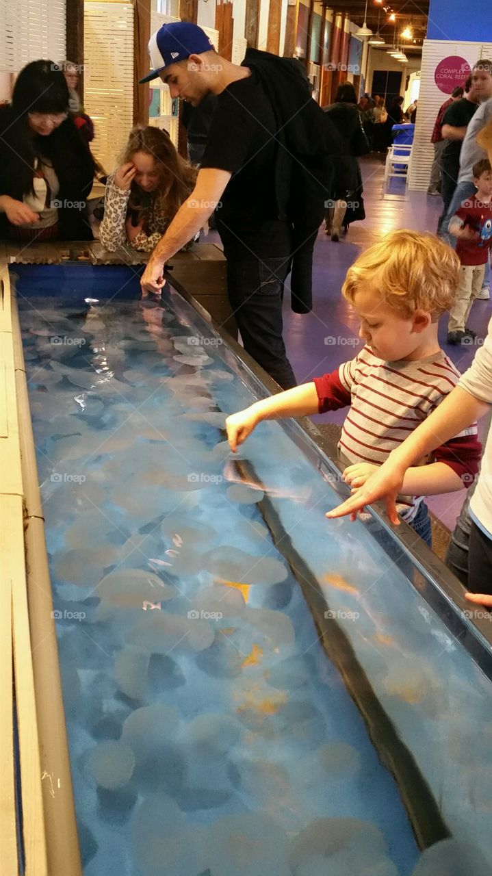 playing with jellyfish