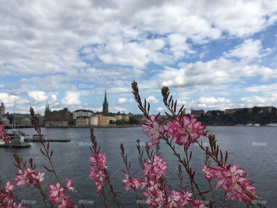 Riddarholmen