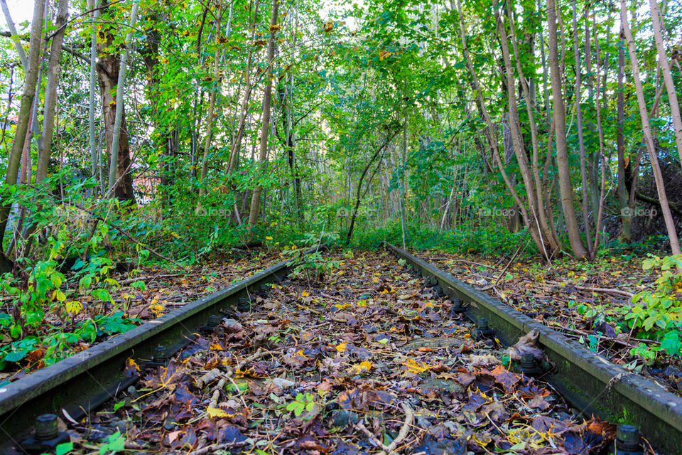 futur without people 