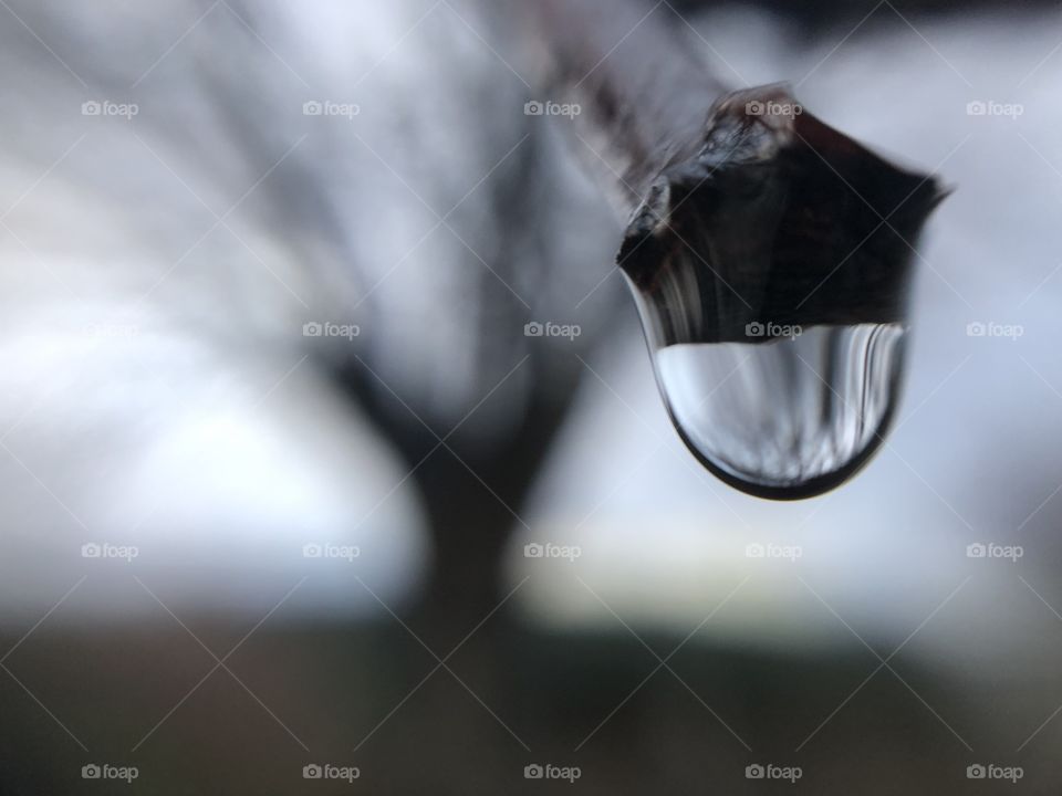 Raindrop